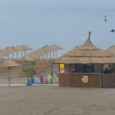 Ariadna *